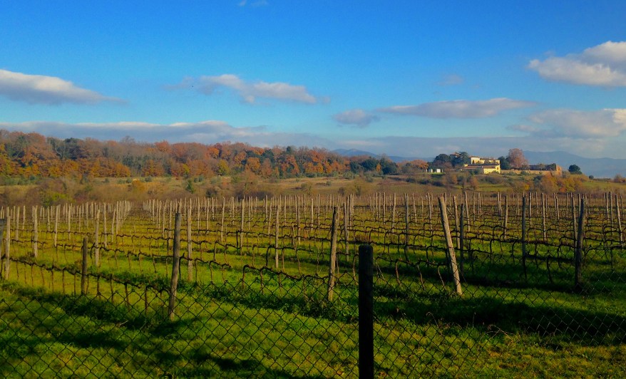 foto_1_ autrice Laura Artuso